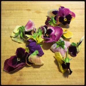 Edible.Flowers